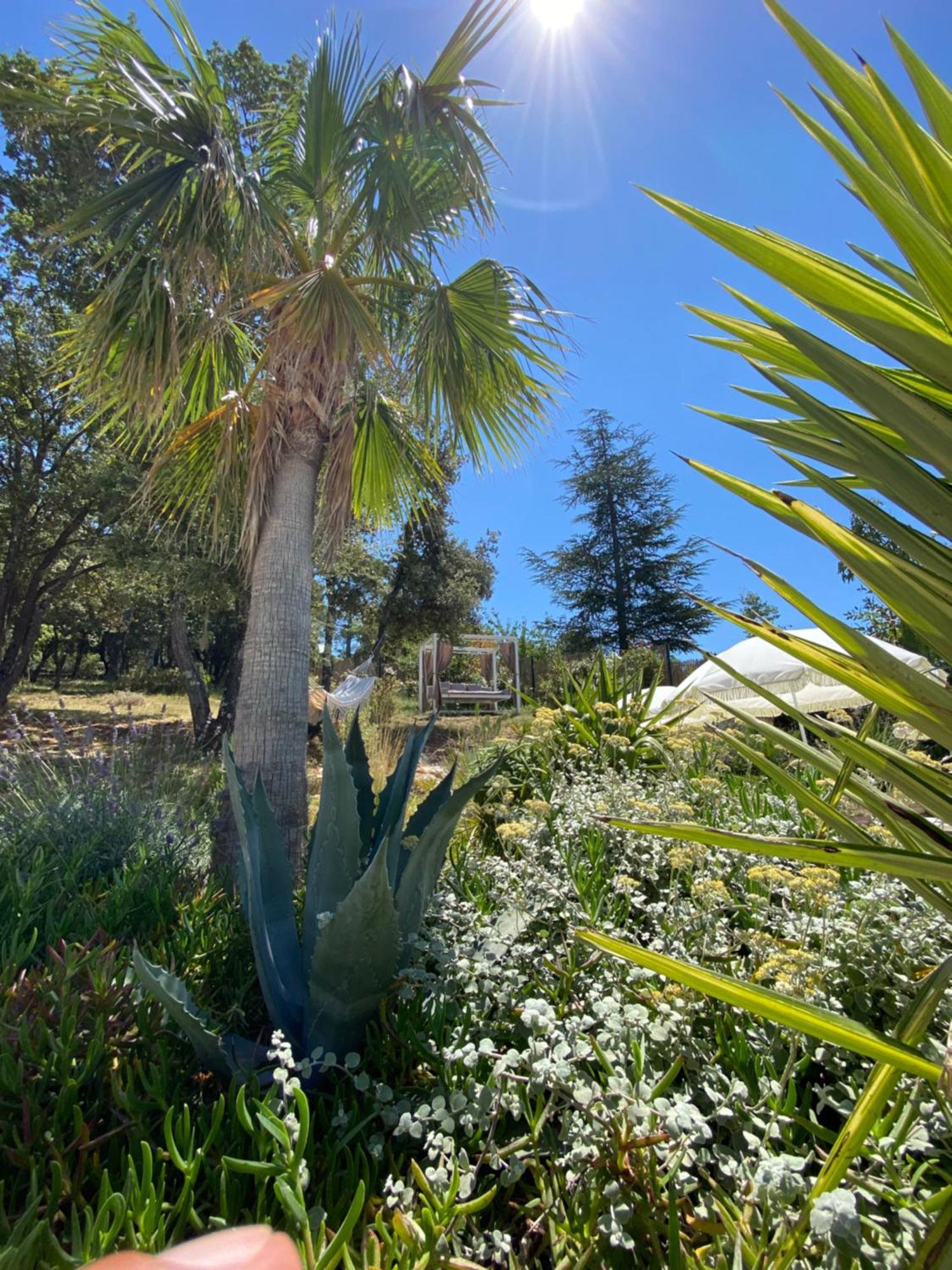 Villa Alba En Provence Besse-sur-Issole Экстерьер фото