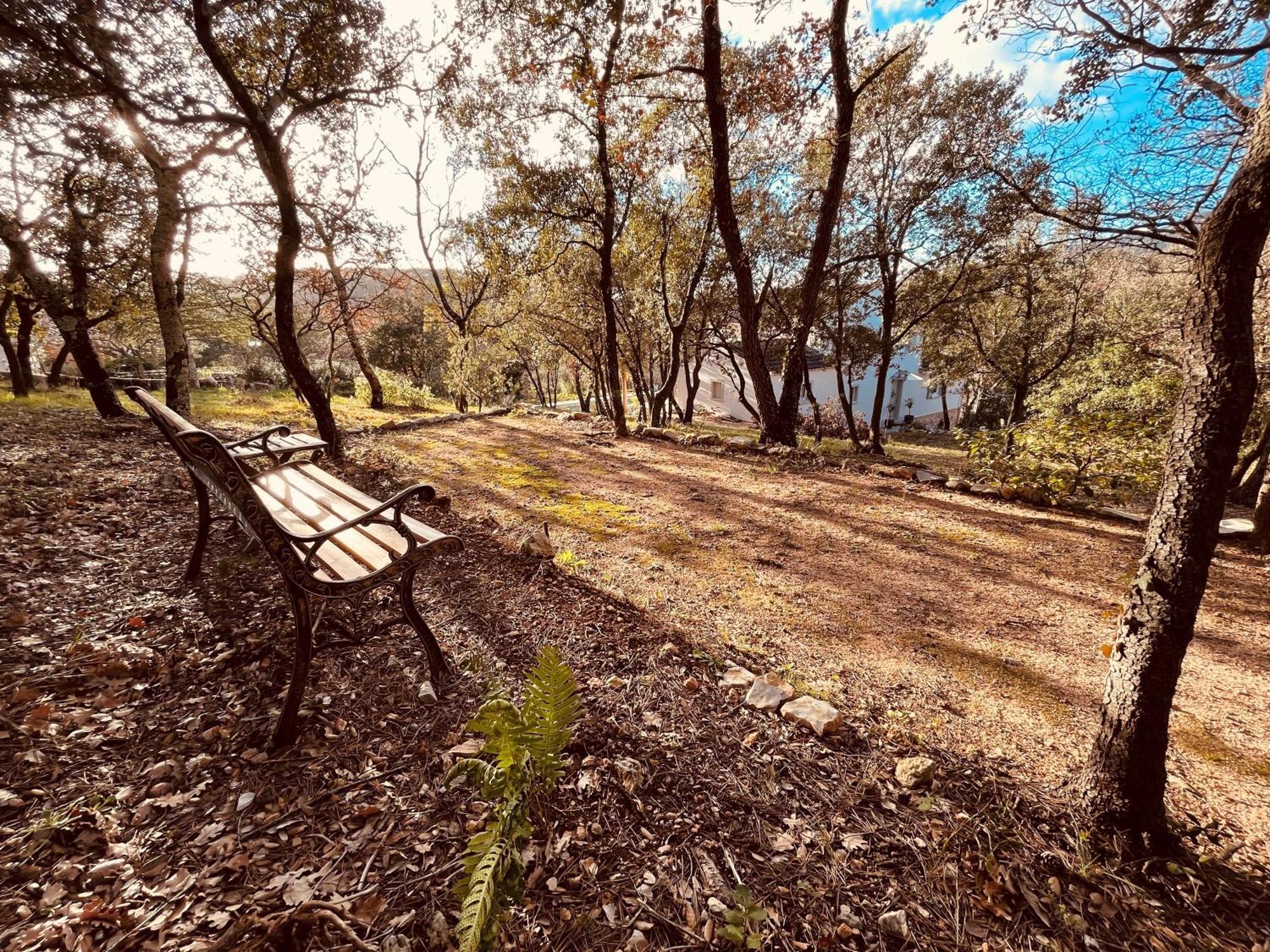 Villa Alba En Provence Besse-sur-Issole Экстерьер фото